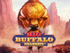 game logo by Skywind Group on vegasinono.com