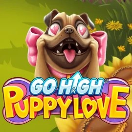 game logo by RubyPlay on vegasinono.com